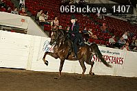 06buckeye_1407 thumbnail