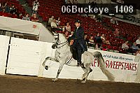 06buckeye_1408 thumbnail