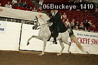 06buckeye_1410 thumbnail