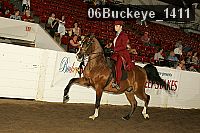 06buckeye_1411 thumbnail