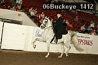 06buckeye_1412 thumbnail