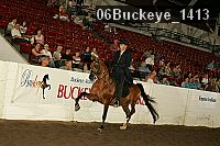 06buckeye_1413 thumbnail