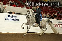 06buckeye_1414 thumbnail