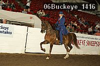 06buckeye_1416 thumbnail