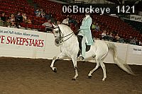 06buckeye_1421 thumbnail