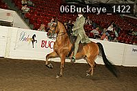 06buckeye_1422 thumbnail