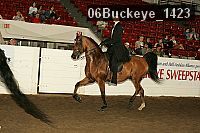 06buckeye_1423 thumbnail