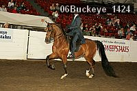 06buckeye_1424 thumbnail