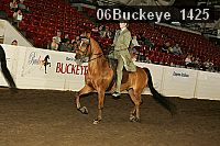 06buckeye_1425 thumbnail