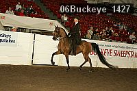 06buckeye_1427 thumbnail