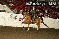 06buckeye_1428 thumbnail