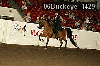 06buckeye_1429 thumbnail