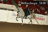 06buckeye_1430 thumbnail