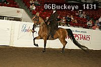 06buckeye_1431 thumbnail