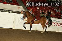 06buckeye_1432 thumbnail