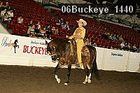 06buckeye_1440 thumbnail