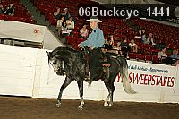 06buckeye_1441 thumbnail