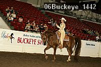 06buckeye_1442 thumbnail