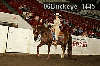 06buckeye_1445 thumbnail