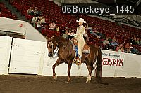 06buckeye_1445 thumbnail