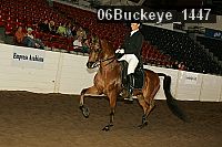 06buckeye_1447 thumbnail