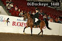 06buckeye_1448 thumbnail