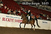 06buckeye_1449 thumbnail