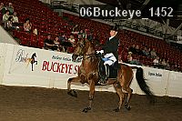 06buckeye_1452 thumbnail