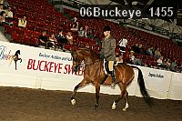 06buckeye_1455 thumbnail