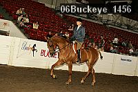 06buckeye_1456 thumbnail