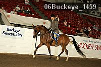 06buckeye_1459 thumbnail