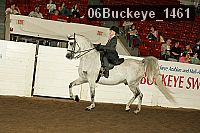 06buckeye_1461 thumbnail