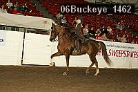 06buckeye_1462 thumbnail