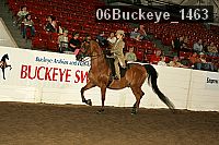 06buckeye_1463 thumbnail