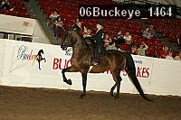 06buckeye_1464 thumbnail