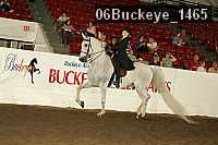 06buckeye_1465 thumbnail