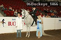 06buckeye_1466 thumbnail