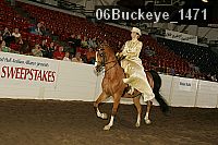 06buckeye_1471 thumbnail