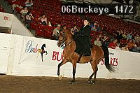 06buckeye_1472 thumbnail