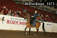 06buckeye_1473 thumbnail