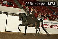 06buckeye_1474 thumbnail