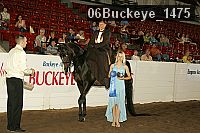 06buckeye_1475 thumbnail