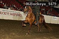 06buckeye_1479 thumbnail