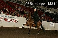 06buckeye_1481 thumbnail