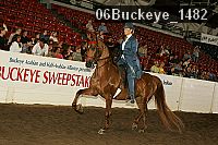 06buckeye_1482 thumbnail