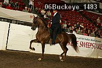 06buckeye_1483 thumbnail