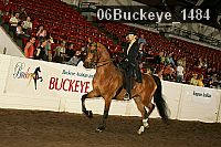 06buckeye_1484 thumbnail