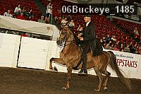 06buckeye_1485 thumbnail