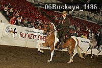 06buckeye_1486 thumbnail