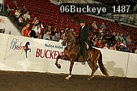 06buckeye_1487 thumbnail